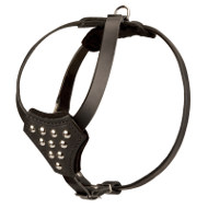 Boston Terrier Harness Leather with Studs for Walking, Training